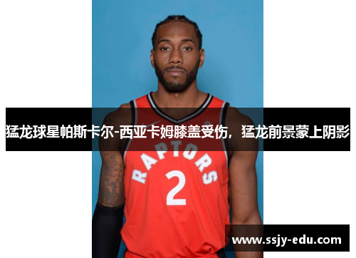 猛龙球星帕斯卡尔-西亚卡姆膝盖受伤，猛龙前景蒙上阴影