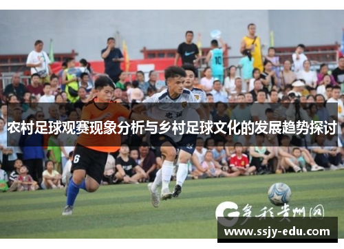 农村足球观赛现象分析与乡村足球文化的发展趋势探讨